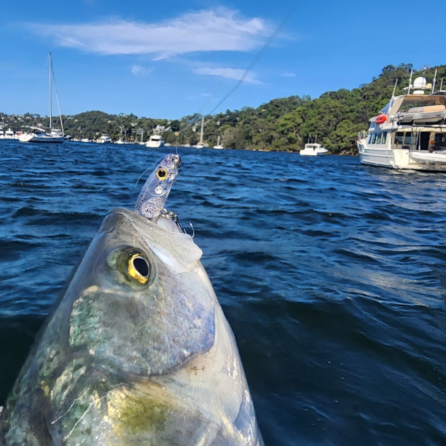 Master Cast || Slider || Top Water 56/72mm