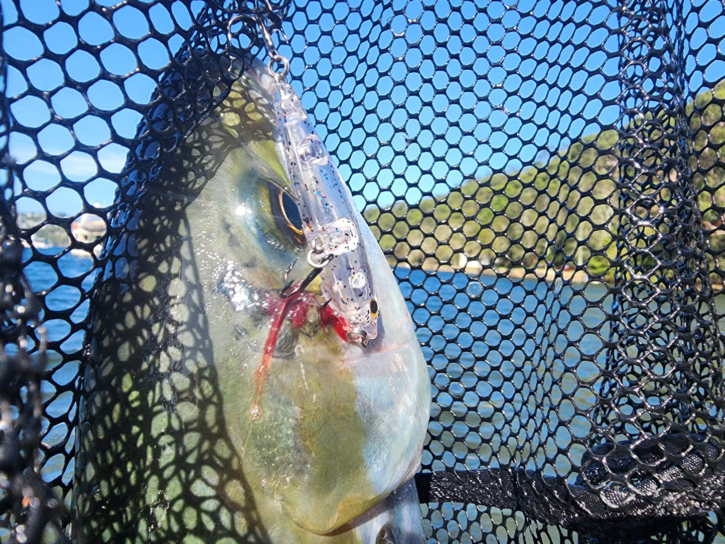 Master Cast || Slider || Top Water 56/72mm