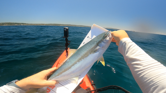 Hard Plastic Folding Fish Measure Mat