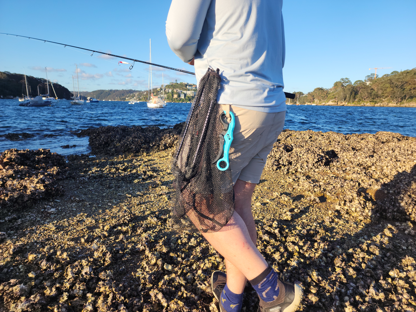 Compact Folding Fishing Net