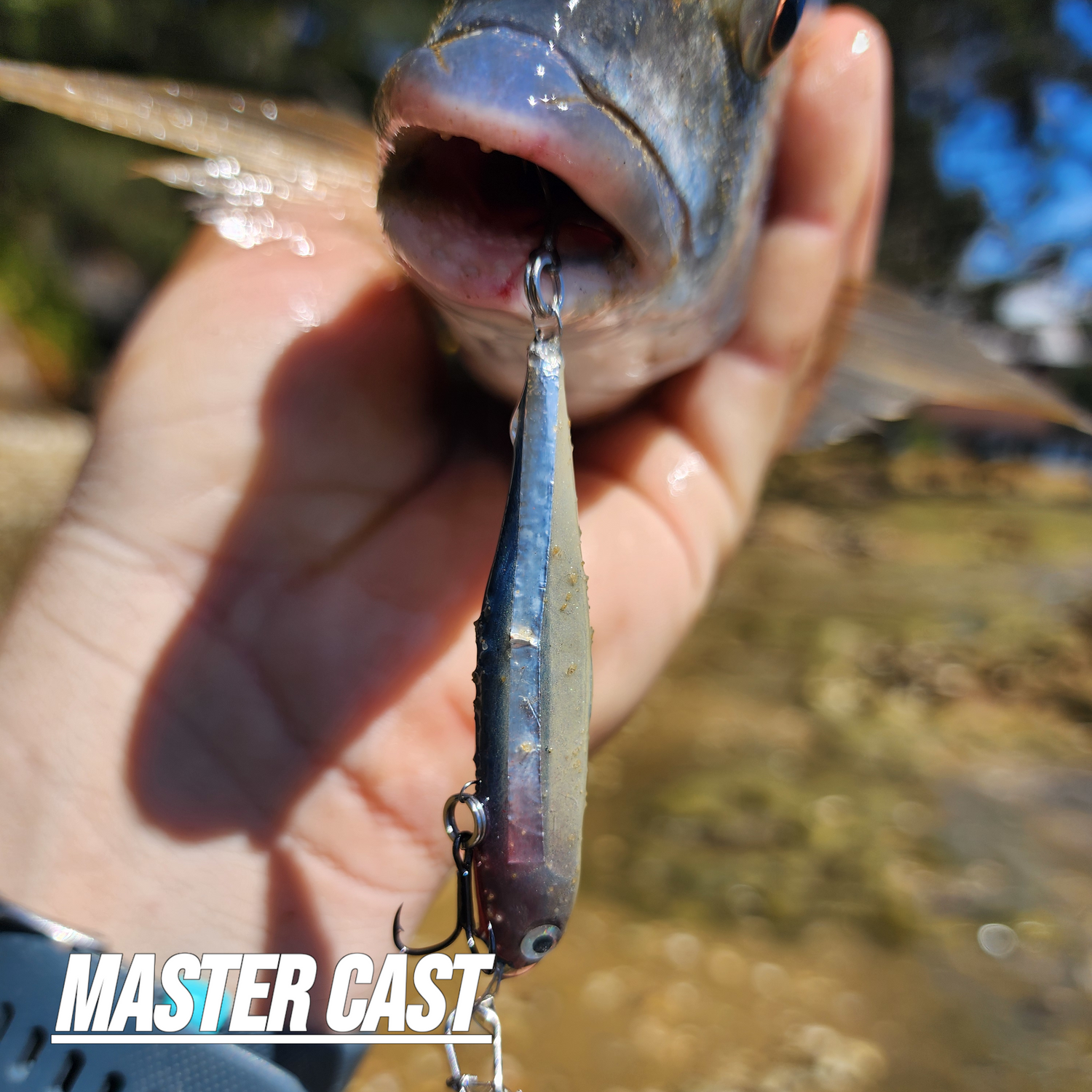 Master Cast Customs