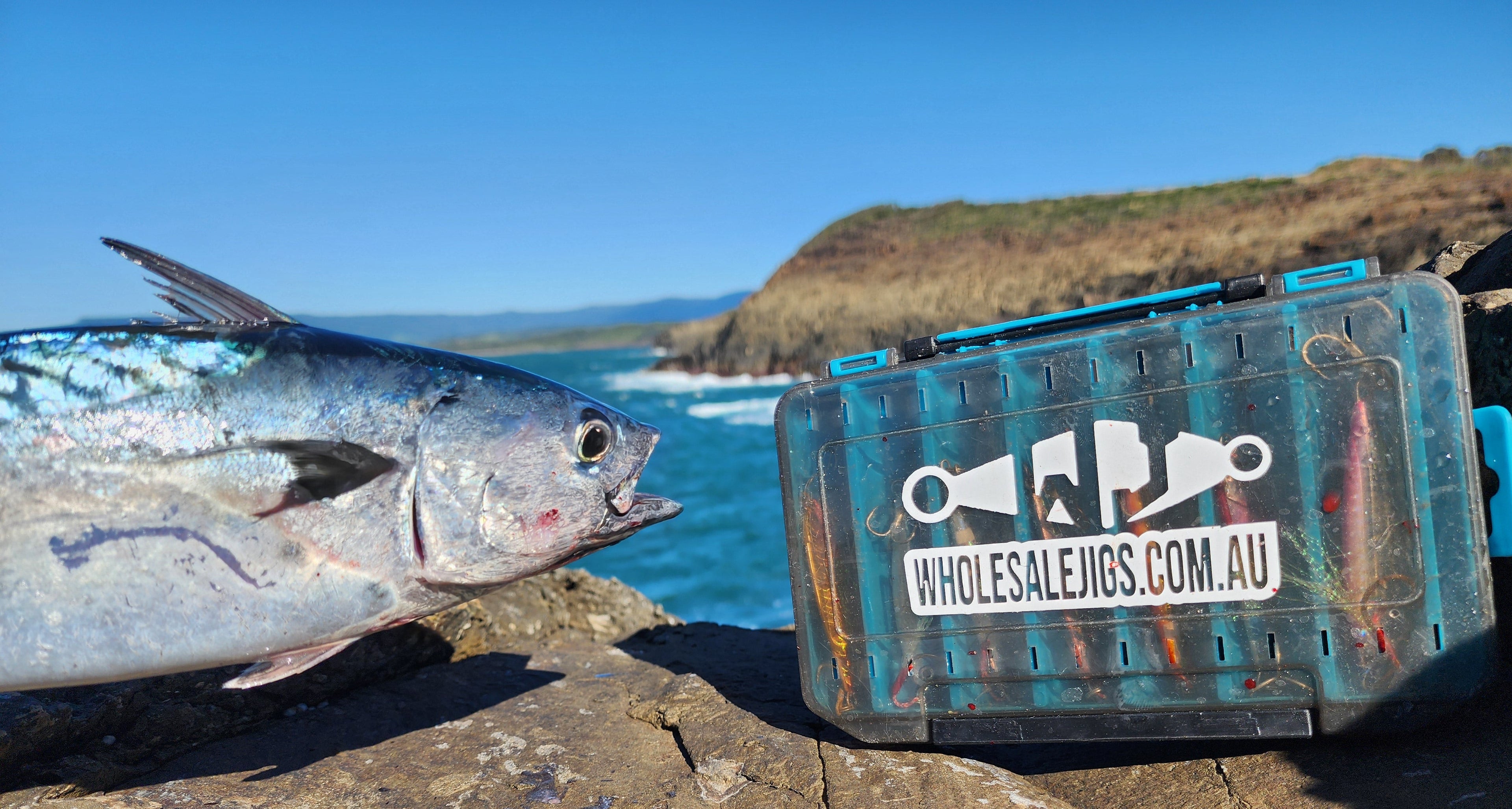 Jigging for Tuna