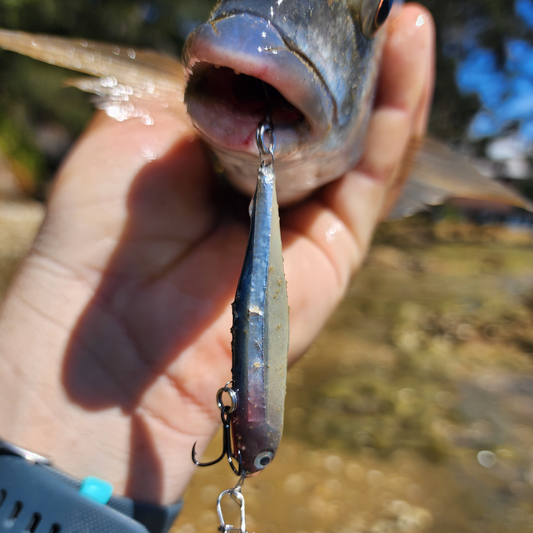 Master Cast || Bream Stick || 65mm